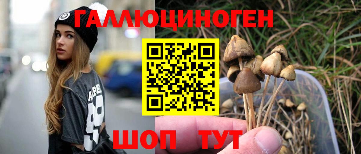 Псилоцибиновые грибы мицелий Качканар