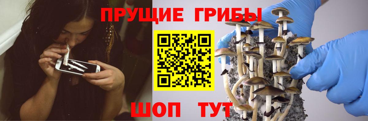 Галлюциногенные грибы ЛСД  Вход с VPN  Качканар 